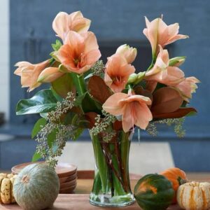 Bouquet – Classic Red Amaryllis Bulb (Size 24/26)– Per Bulb